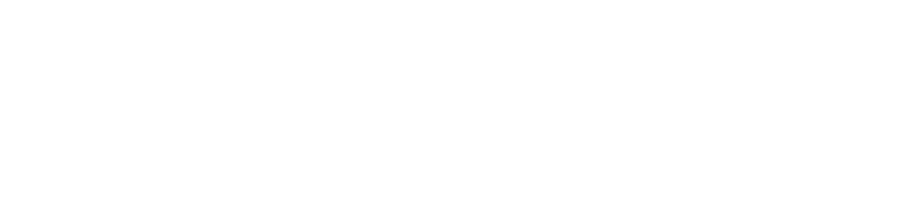 Flydaad Travel & Tours Logo